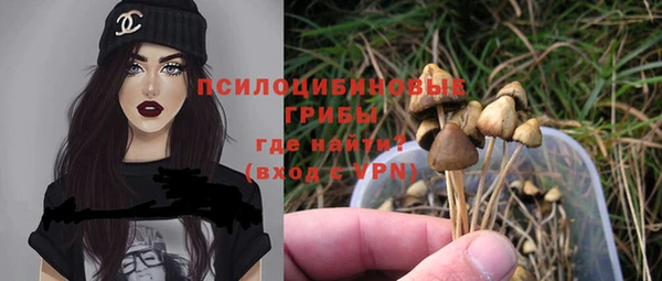 mix Гусев